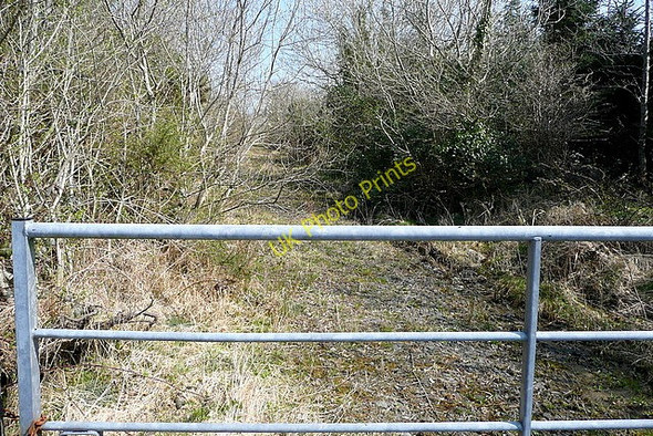 Photo 6"x4" Track at Gortaganniv Kilmaley c2010