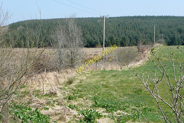 Photo 6"x4" Land at Ballyillaun Kilmaley c2010