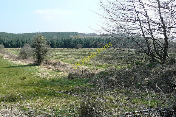 Photo 6"x4" Land at Ballyillaun Kilmaley c2010