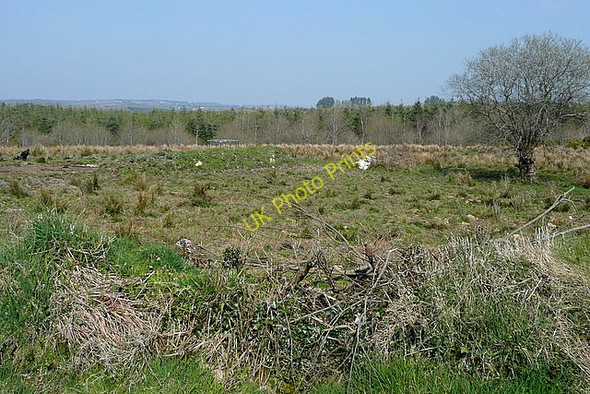 Photo 6"x4" Rough grazing at Derrynacarragh Connolly c2010