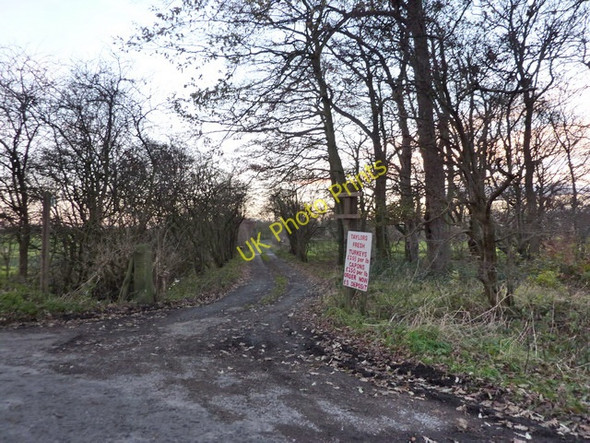 Photo 6"x4" Road to Odd House Farm Hall Green\/SD4624 c2010