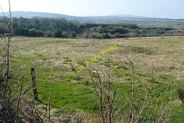 Photo 6"x4" Grazing at Lisroe Connolly c2010