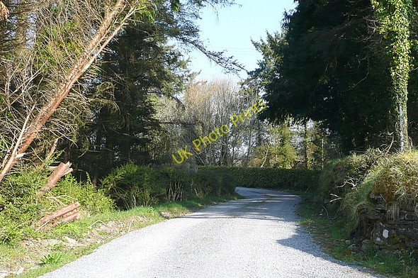 Photo 6"x4" Driveway south of Kilmaley Kilmaley c2010
