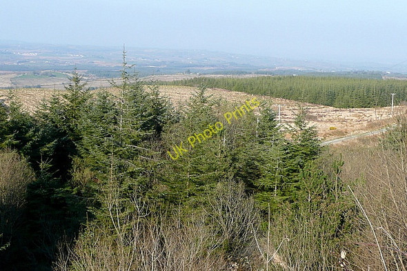 Photo 6"x4" View from Ben Dash Connolly c2010