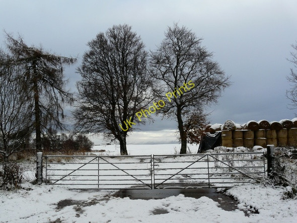 Photo 6"x4" Farm gate near Hill of Fearn Fearn c2010