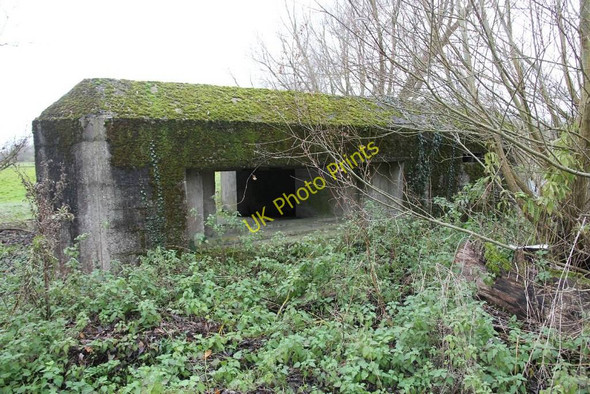 Photo 6"x4" Nettles in front Sheffield Bottom c2010