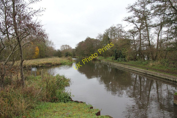Photo 6"x4" Kennet from the lock Sheffield Bottom c2010