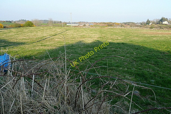 Photo 6"x4" Pasture at Cahermore Kilmaley c2010