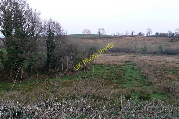 Photo 6"x4" Rough grazing at Lackennaskagh Derragh c2010