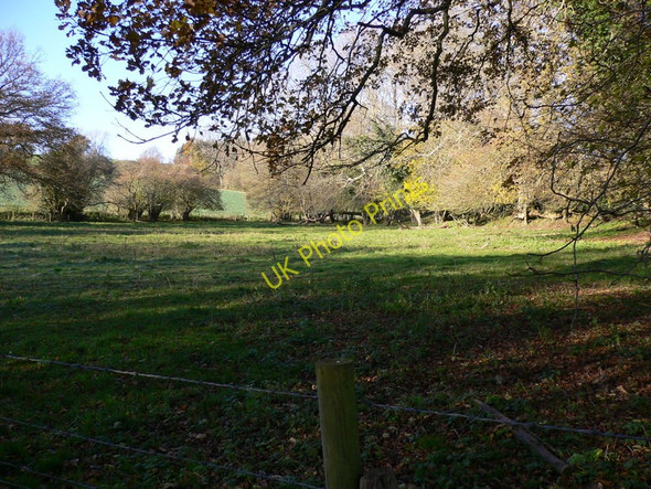 Photo 6"x4" Attractive field near North Marden North Marden c2010