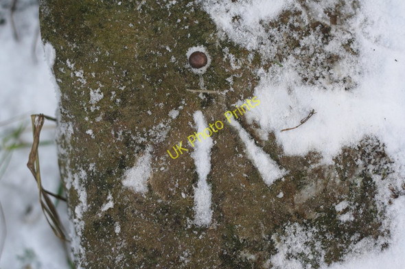 Photo 6"x4" Rivet Bench Mark (close-up) Stainburn\/SE2448 c2010