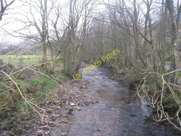 Photo 6"x4" The River Eden Shoregill c2010