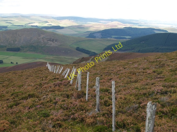 Photo 6"x4" Fence, Hundleshope Heights Hundleshope c2006 P1
