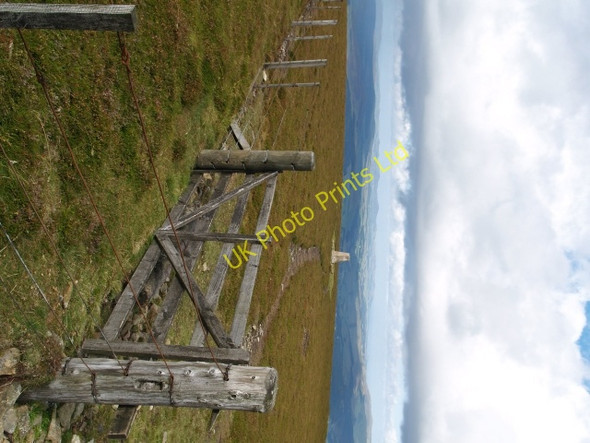 Photo 6"x4" Gate and trig point, Hundleshope Heights Hundleshope c2006