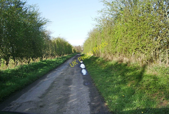 Photo 6"x4" The road from Burnfoot Longtown\/NY3868 c2008