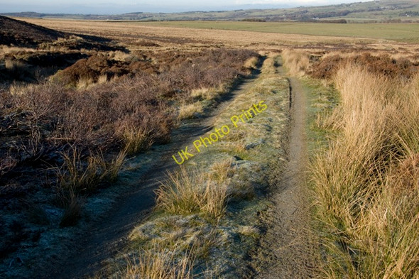 Photo 6"x4" Shooters track up Catshaw Greave Abbeystead c2010
