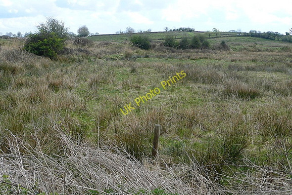 Photo 6"x4" Rough grazing at Ballycorick Ballynacally c2010