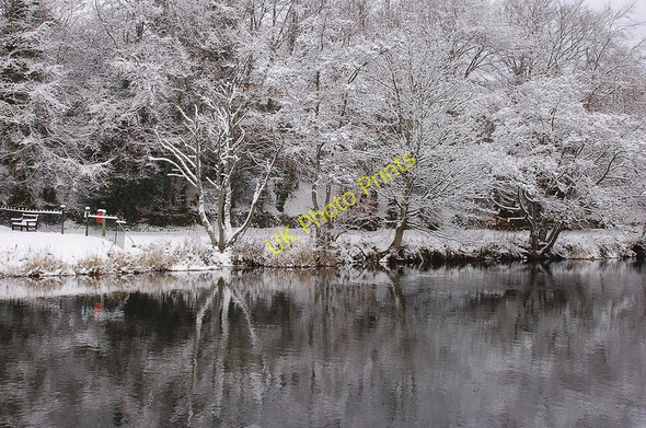 Photo 6"x4" Trees by the Tweed, Peebles Peebles\/NT2540 c2010
