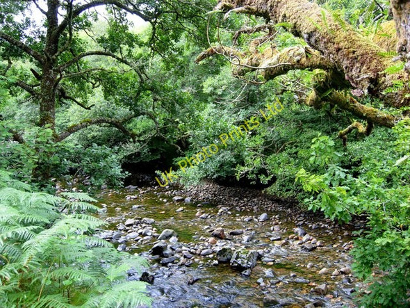Photo 6"x4" River Loy, Glen Loy Muirshearlich c2006