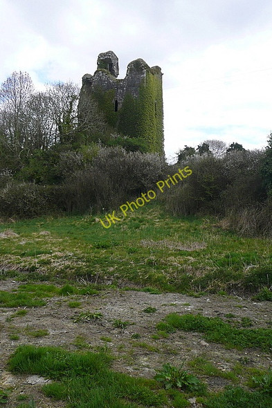Photo 6"x4" Dangan Castle Ballynacally c2010