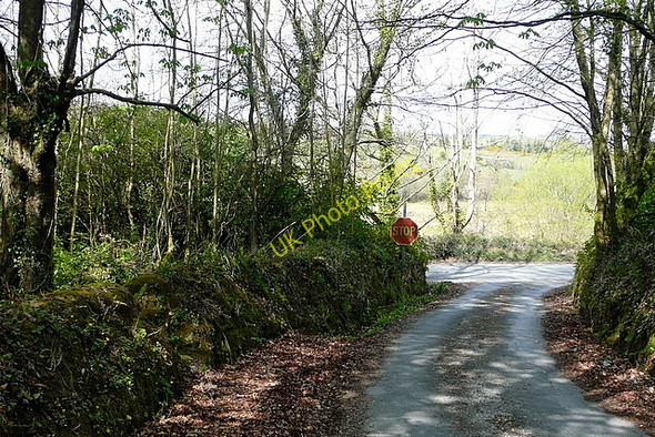 Photo 6"x4" Approaching the main road Ballynacally c2010