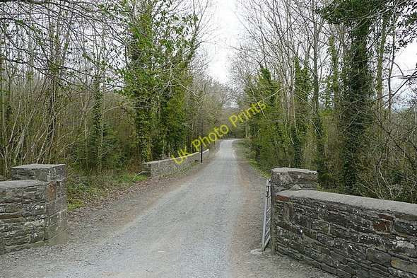 Photo 6"x4" Entrance to Cahiracon estate Killadysert c2010