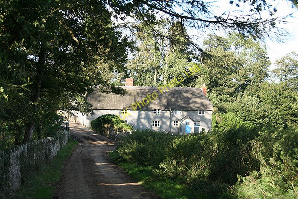 Photo 6"x4" Yarcombe: Clifthayne Farm Bishopswood c2006