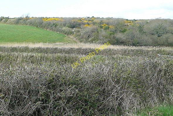 Photo 6"x4" Rough land at Goleensallagh Loghill c2010