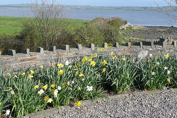 Photo 6"x4" View from Labasheeda community centre Labasheeda c2010