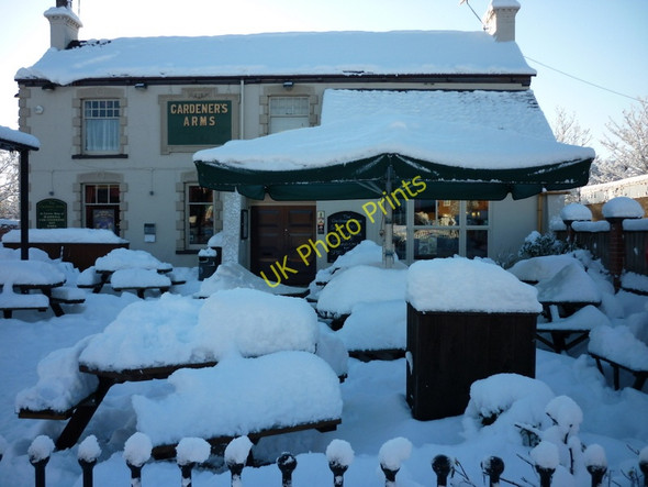 Photo 6"x4" The beer garden at The Gardener's Arms Cottingham Road Kingston upon Hull c2010