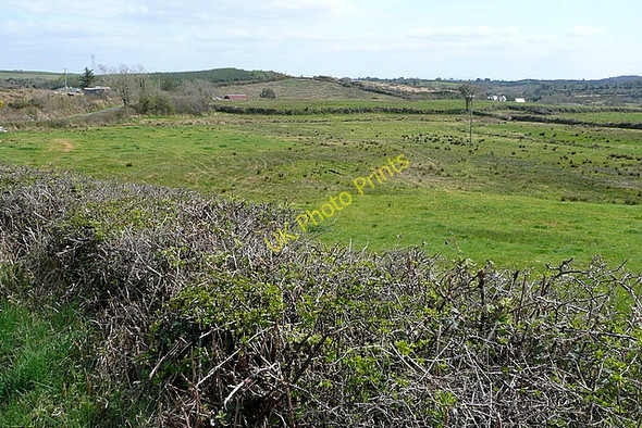 Photo 6"x4" Rough grazing at Lanna Ballynacally c2010