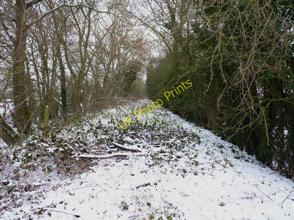 Photo 6"x4" NE along the old railway line near Edge Farm Longville in the Dale c2010