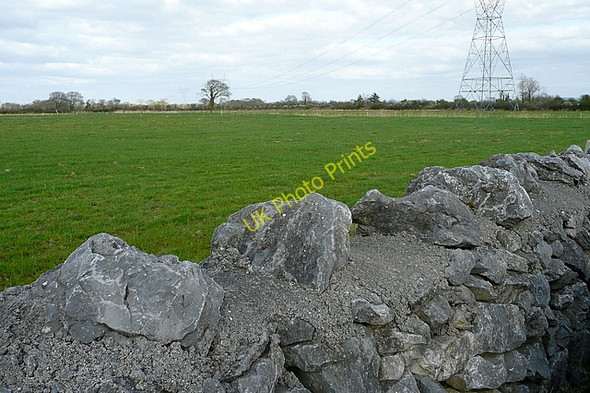 Photo 6"x4" Pasture at Teermaclane Derragh c2010