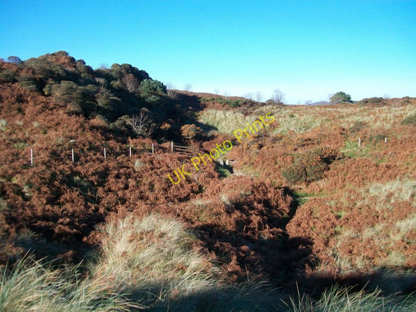 Photo 6"x4" Footpath through a bracken infested slack behind the Murlough foredunes Dundrum\/J4036 c2010
