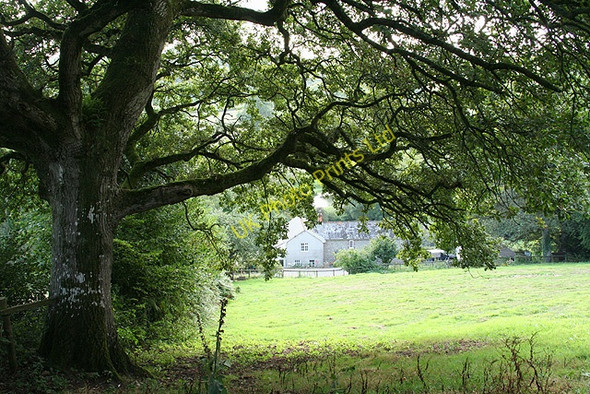 Photo 6"x4" Membury: by Dennings Down Churchill\/ST2901 c2006