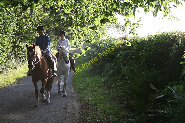 Photo 6"x4" Wambrook: Mounter\u00e2\u0080\u0099s Hill Wambrook c2006