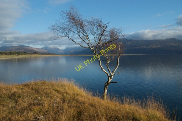 Photo 6"x4" Above Loch Linnhe Clovullin c2008
