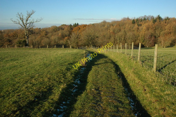 Photo 6"x4" Track below Vineyards Farm Little Herbert's c2010