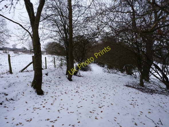 Photo 6"x4" A way less travelled Longville in the Dale c2010