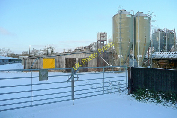 Photo 6"x4" The Leys Broadmoor Common c2010