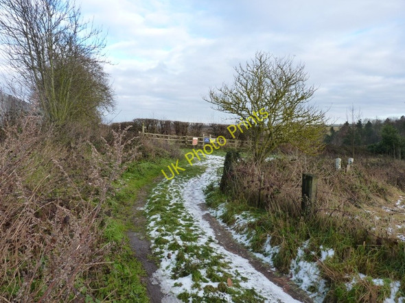 Photo 6"x4" Bridleway junction, Stanmore Stanmore\/SO7492 c2010