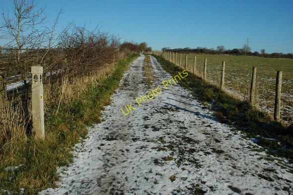 Photo 6"x4" Cotswold Way near Upper Colgate Farm Lower Dowdeswell c2010