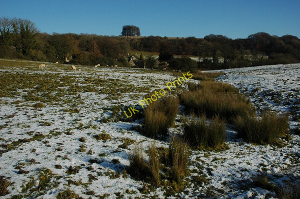 Photo 6"x4" Snowy field at Whittington Whittington\/SP0121 c2010