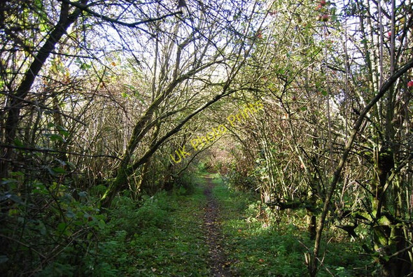 Photo 6"x4" Footpath to Hartlip Lower Hartlip c2010