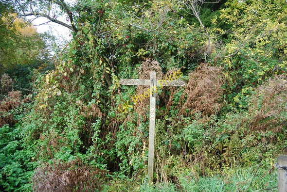 Photo 6"x4" Sussex Border Path signpost Cousley Wood c2010