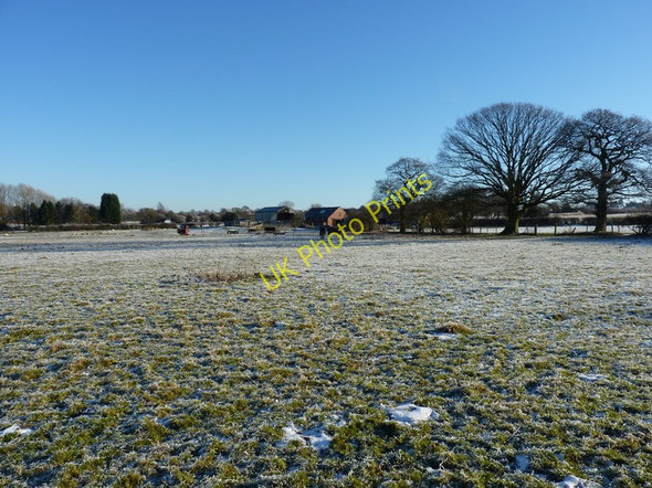 Photo 6"x4" Horses grazing at Hill Croft Farm Castlecroft c2010