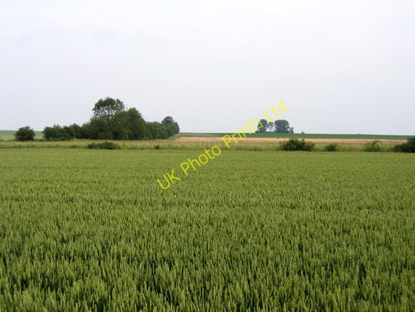 Photo 6"x4" Farmland, Grunty Fen, Cambs Witchford c2006