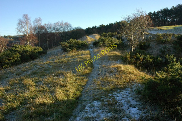 Photo 6"x4" Earthworks on Wistley Hill Little Herbert's c2010