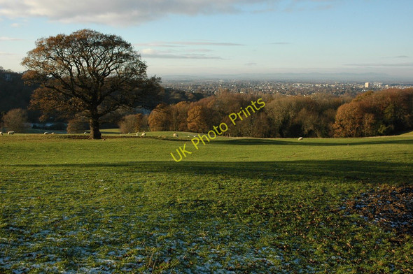 Photo 6"x4" View over Cheltenham Little Herbert's c2010