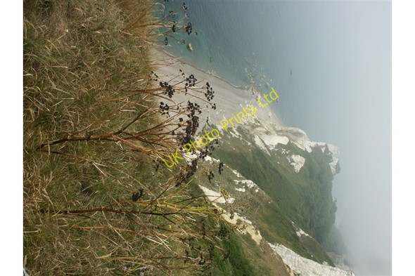 Photo 6"x4" Hooken Landslide from Beer Head Beer\/SY2289 c2006